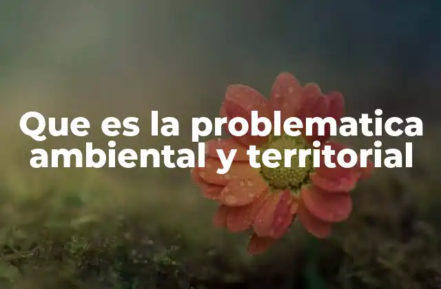Que es la Problematica Ambiental y Territorial