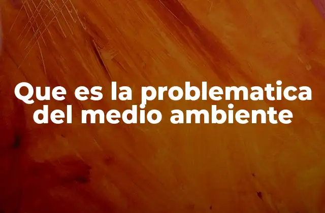 Que es la Problematica Del Medio Ambiente