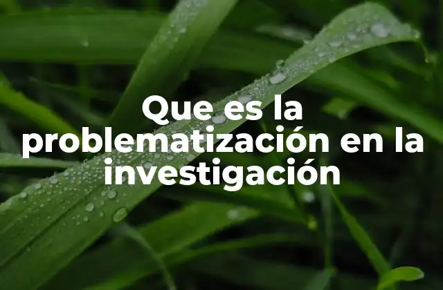 Que es la Problematización en la Investigación
