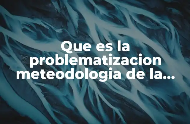 Que es la Problematizacion Meteodologia de la Investigacion Ejemplos
