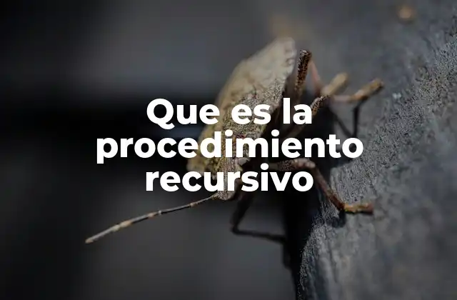 Que es la Procedimiento Recursivo