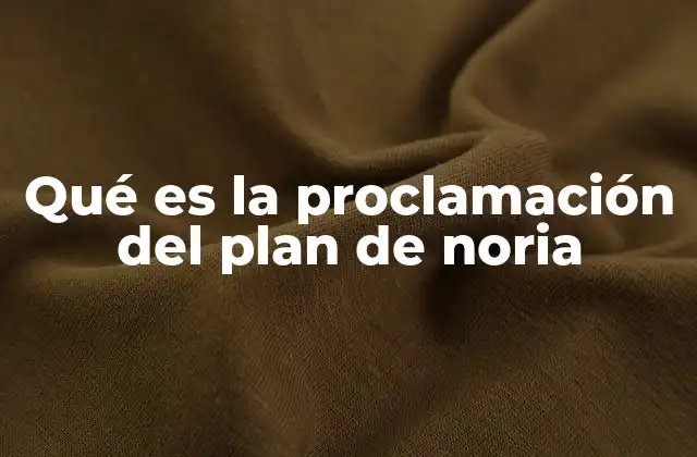 Qué es la Proclamación Del Plan de Noria