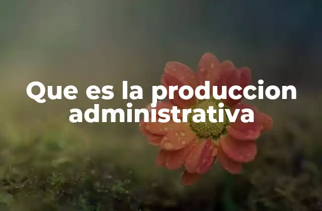 Que es la Produccion Administrativa