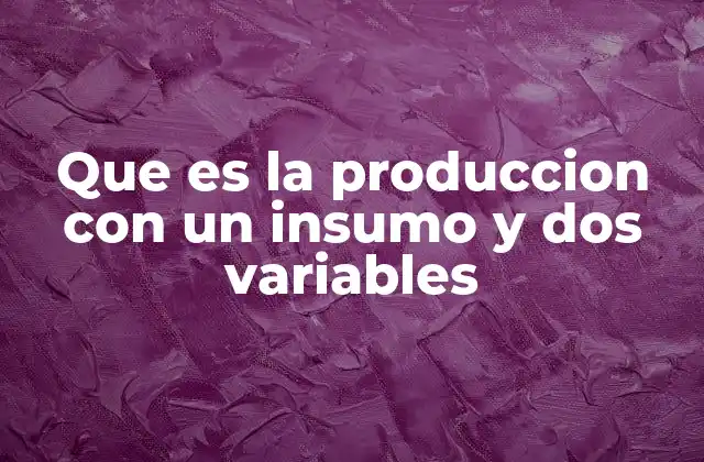 Que es la Produccion con un Insumo y Dos Variables