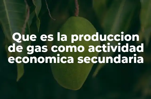 Que es la Produccion de Gas como Actividad Economica Secundaria