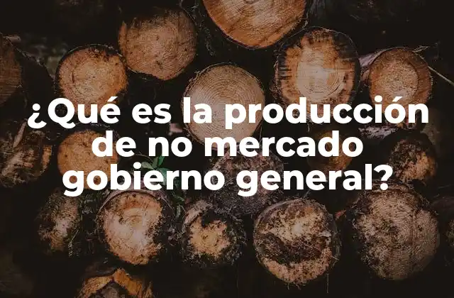 ¿qué es la Producción de No Mercado Gobierno General?