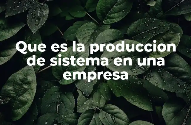Que es la Produccion de Sistema en una Empresa