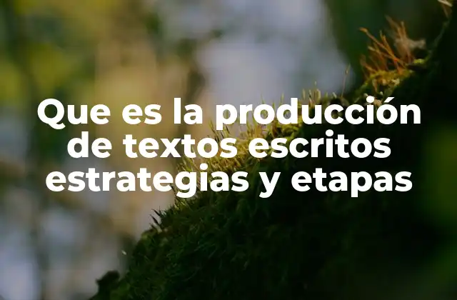 Que es la Producción de Textos Escritos Estrategias y Etapas