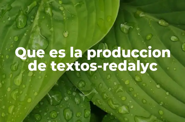 Que es la Produccion de Textos-redalyc