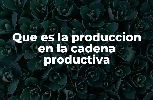 Que es la Produccion en la Cadena Productiva