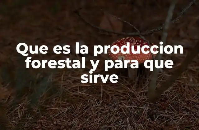 El papel de los bosques en la economía y el medio ambiente