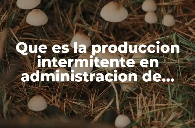 Que es la Produccion Intermitente en Administracion de Empresas