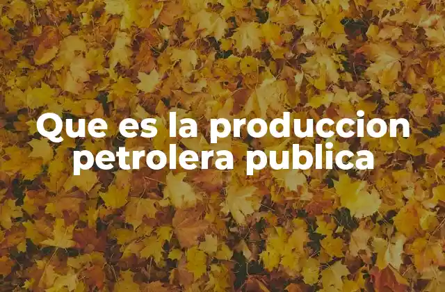 El papel del Estado en la explotación de recursos naturales