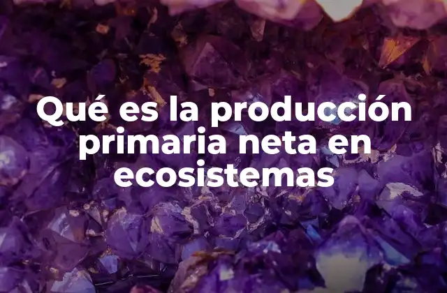 Qué es la Producción Primaria Neta en Ecosistemas