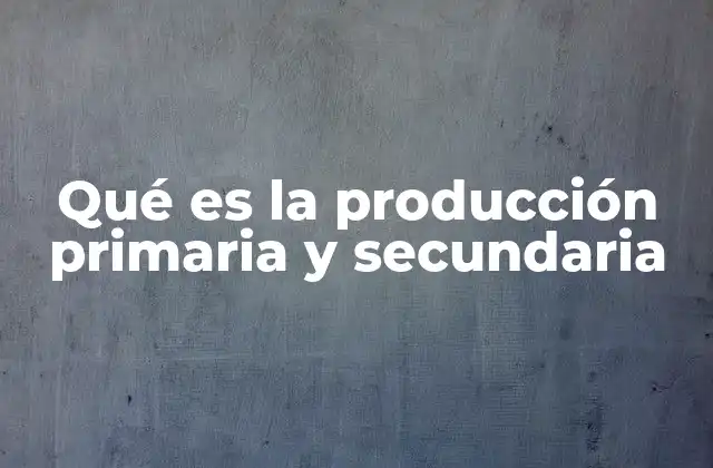Qué es la Producción Primaria y Secundaria