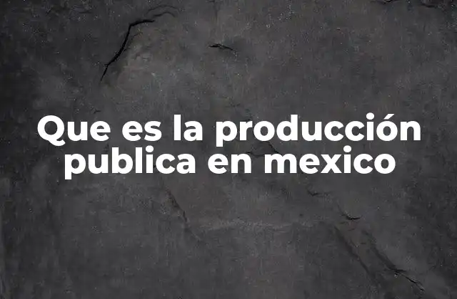 Que es la Producción Publica en Mexico