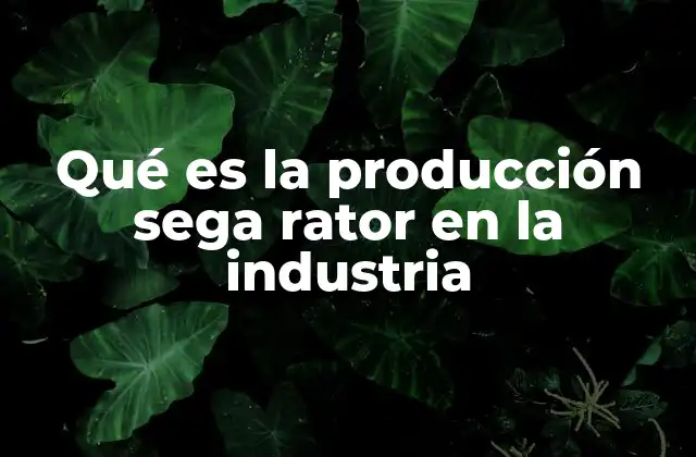 Qué es la Producción Sega Rator en la Industria