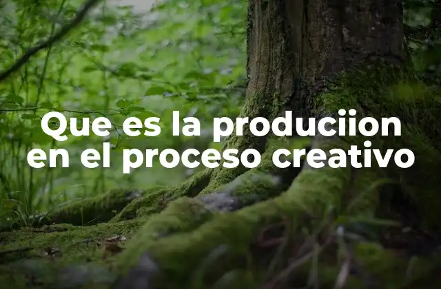 Que es la Produciion en el Proceso Creativo