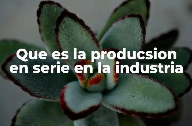 Que es la Producsion en Serie en la Industria