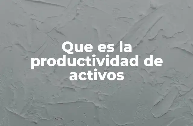 Que es la Productividad de Activos