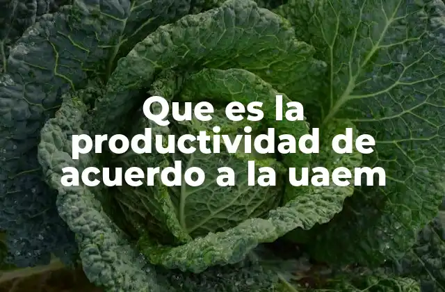Que es la Productividad de Acuerdo a la Uaem