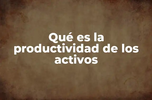 Qué es la Productividad de los Activos