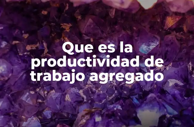 La medición de la eficiencia productiva