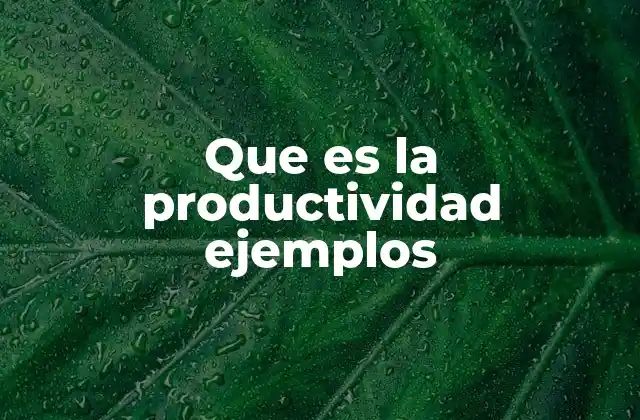 Que es la Productividad Ejemplos