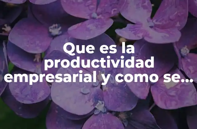 Que es la Productividad Empresarial y como Se Mide 2 Factores que influyen en la productividad empresarial