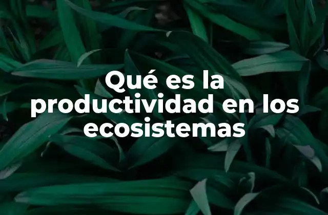 Qué es la Productividad en los Ecosistemas