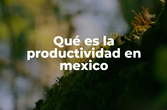 Qué es la Productividad en Mexico