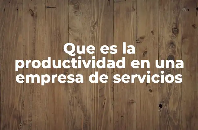 Que es la Productividad en una Empresa de Servicios