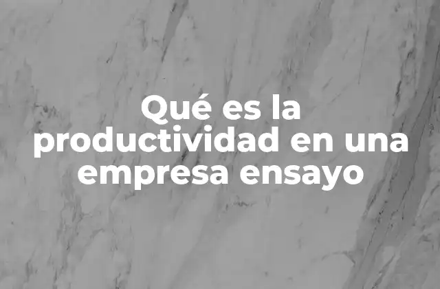 Qué es la Productividad en una Empresa Ensayo