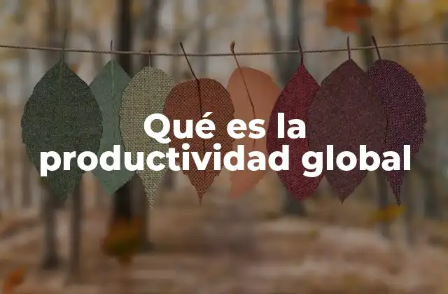 Medición de la eficiencia en organizaciones