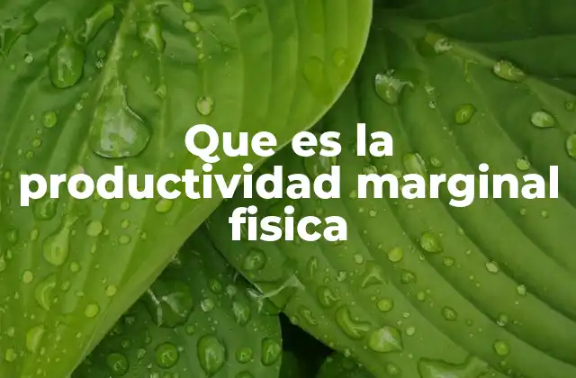 Que es la Productividad Marginal Fisica