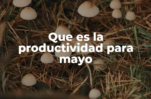 Que es la Productividad para Mayo