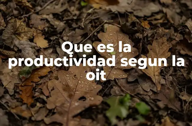 Que es la Productividad Segun la Oit