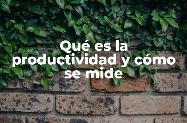 Qué es la Productividad y Cómo Se Mide