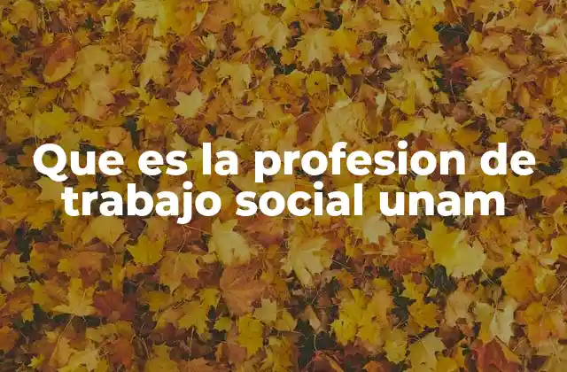 Que es la Profesion de Trabajo Social Unam