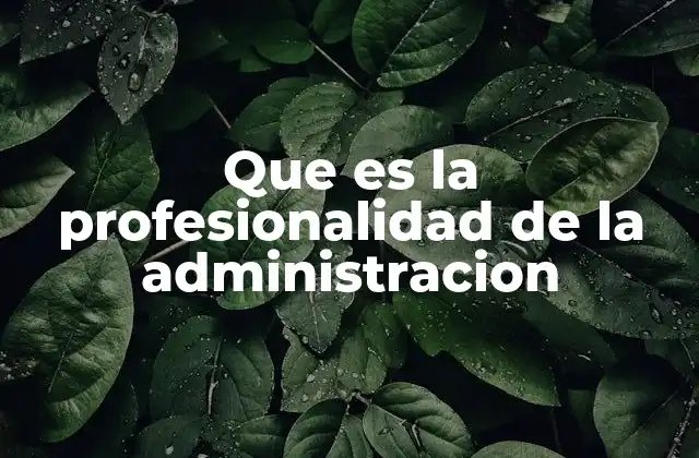 Que es la Profesionalidad de la Administracion