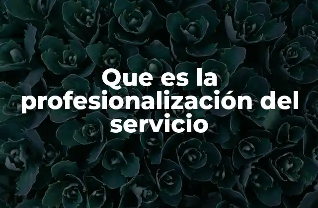 Que es la Profesionalización Del Servicio