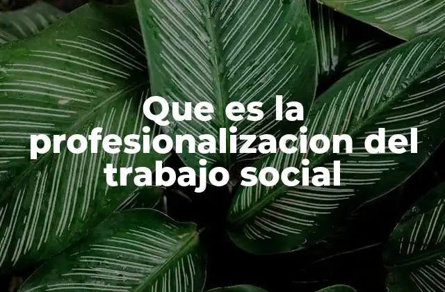 Que es la Profesionalizacion Del Trabajo Social