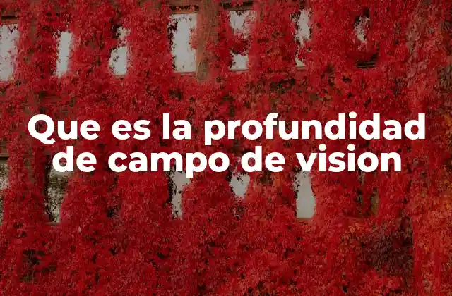 Que es la Profundidad de Campo de Vision