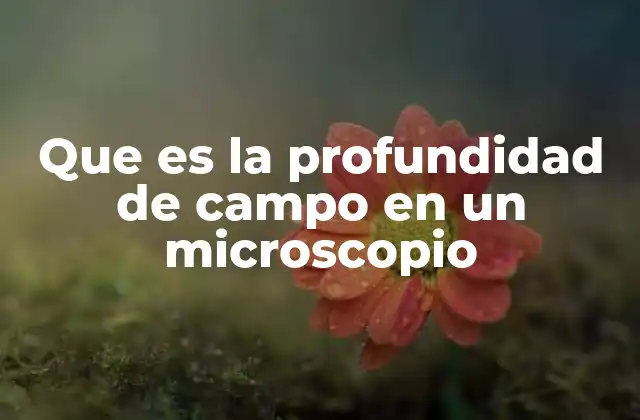 Que es la Profundidad de Campo en un Microscopio