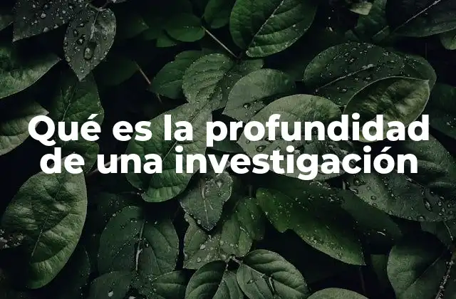 Qué es la Profundidad de una Investigación