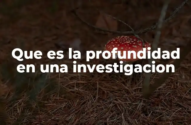 Que es la Profundidad en una Investigacion 2 La importancia de abordar temas con rigor analítico