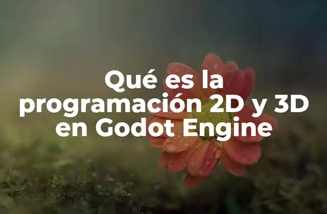 Qué es la Programación 2d y 3d en Godot Engine