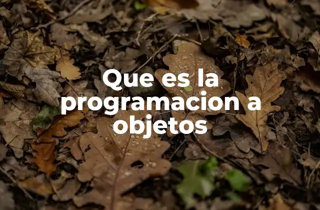 Que es la Programacion a Objetos