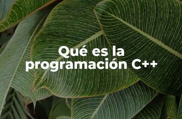 Qué es la Programación C++