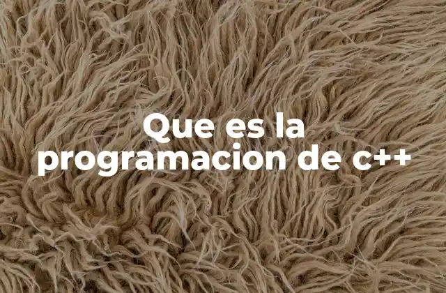 Que es la Programacion de C++